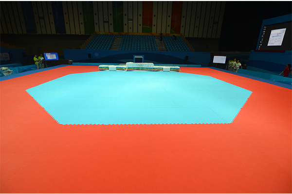 跆拳道训练场地(八角)